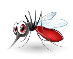 Insect Repellent