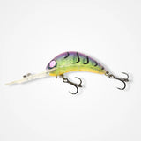 B60 - BARAMBAH DIVER -