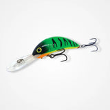 B80 - BARAMBAH DIVER -
