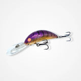 B80 - BARAMBAH DIVER -