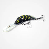 B80 - BARAMBAH DIVER -