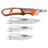 GERBER - RANDY NEWBERG EBS