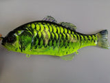 JACKALL CHIBITAREL