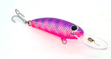 GIDGEE FRY - ASSORTED COLOURS