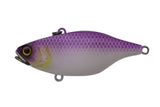 JACKALL LURES TN60